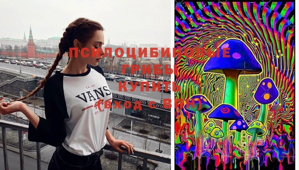 гашишное масло Заводоуковск