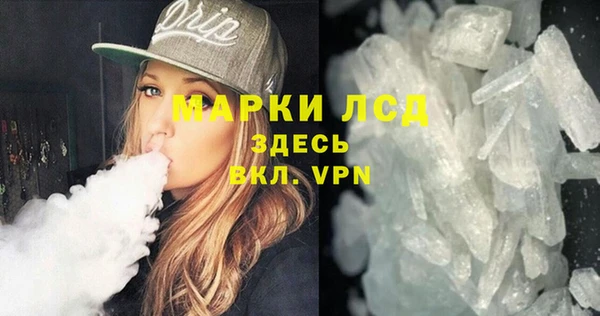 гидра Покачи