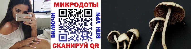 blacksprut сайт  Среднеуральск  Псилоцибиновые грибы ЛСД 