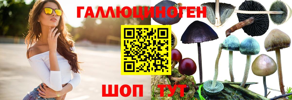 Псилоцибиновые грибы прущие грибы  Псилоцибиновые грибы GOLDEN TEACHER  Среднеуральск  Вход с VPN 