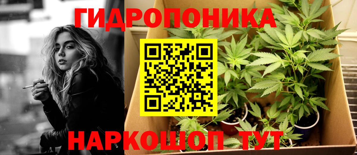 Бошки марихуана семена  Бошки марихуана ГИДРОПОН  Среднеуральск  Марихуана ГИДРОПОН  Вход с VPN  МАРИХУАНА White Widow 